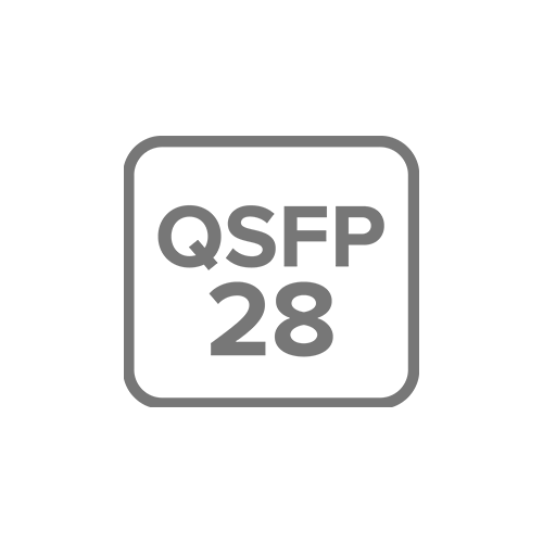 4X 100 GIGABIT QSFP28 PORTS