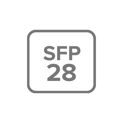 8X 25 GIGABIT SFP28 PORTS