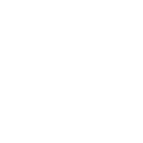 16x 100G QSFP28 ports