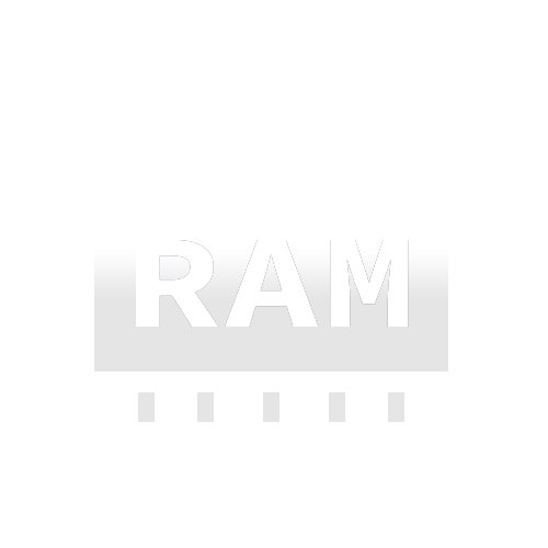 1 GB DDR4 RAM