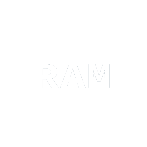 1GB DDR4 RAM