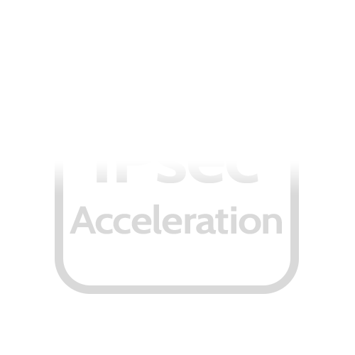 IPsec hardware acceleration ~450 Mbps